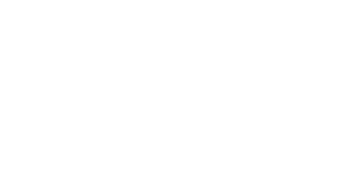Rsys logo white